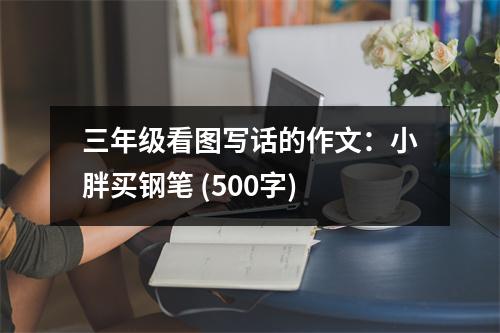 三年級(jí)看圖寫(xiě)話的作文：小胖買(mǎi)鋼筆 (500字)