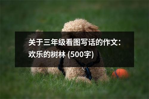 關(guān)于三年級(jí)看圖寫(xiě)話的作文：歡樂(lè)的樹(shù)林 (500字)