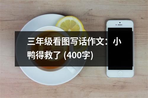 三年級看圖寫話作文：小鴨得救了 (400字)