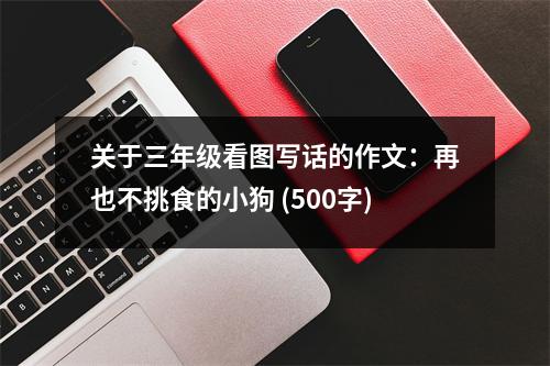 關(guān)于三年級看圖寫話的作文：再也不挑食的小狗 (500字)