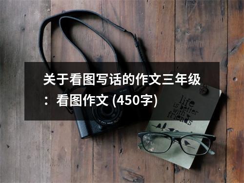 關(guān)于看圖寫話的作文三年級(jí)：看圖作文 (450字)