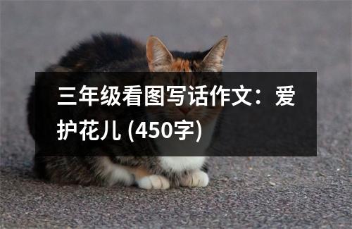 三年級(jí)看圖寫話作文：愛護(hù)花兒 (450字)