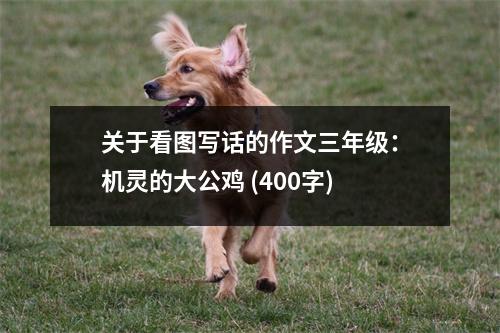 關(guān)于看圖寫話的作文三年級(jí)：機(jī)靈的大公雞 (400字)