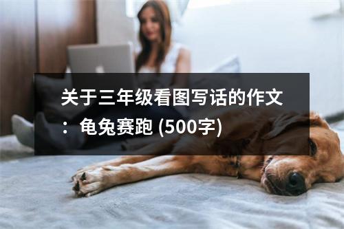 關(guān)于三年級(jí)看圖寫話的作文：龜兔賽跑 (500字)