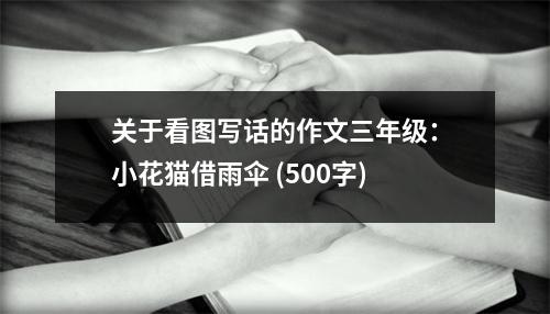 關(guān)于看圖寫話的作文三年級(jí)：小花貓借雨傘 (500字)