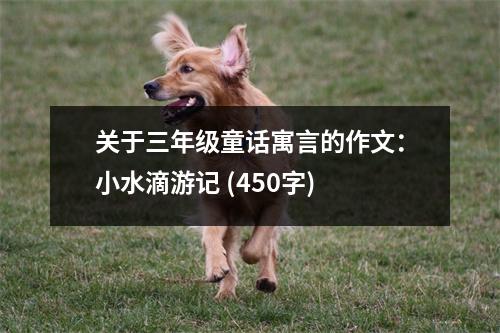 關(guān)于三年級童話寓言的作文：小水滴游記 (450字)