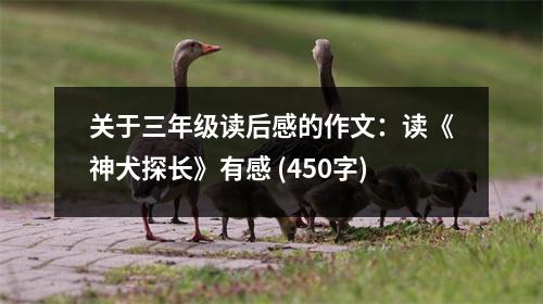 關(guān)于三年級(jí)讀后感的作文：讀《神犬探長》有感 (450字)