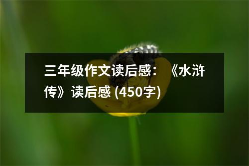 三年級作文讀后感：《水滸傳》讀后感 (450字)