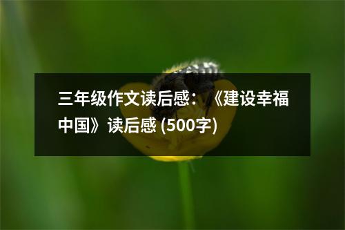 三年級作文讀后感：《建設(shè)幸福中國》讀后感 (500字)