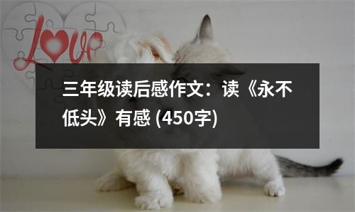 三年級讀后感作文：讀《永不低頭》有感 (450字)