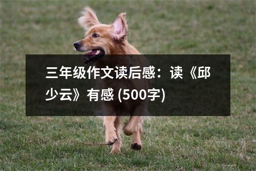 三年級作文讀后感：讀《邱少云》有感 (500字)