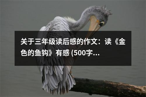 關于三年級讀后感的作文：讀《金色的魚鉤》有感 (500字)