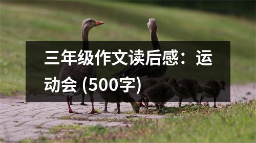 三年級作文讀后感：運動會 (500字)