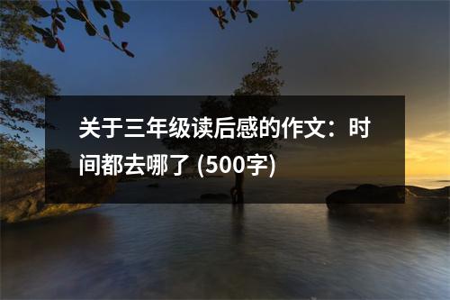 關(guān)于三年級讀后感的作文：時間都去哪了 (500字)