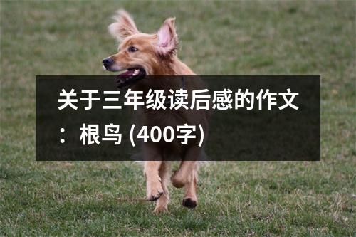 關于三年級讀后感的作文：根鳥 (400字)