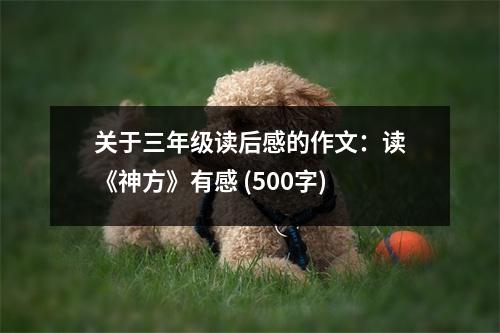 關于三年級讀后感的作文：讀《神方》有感 (500字)