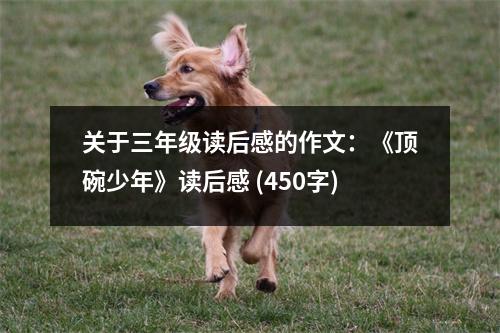 關于三年級讀后感的作文：《頂碗少年》讀后感 (450字)