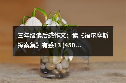 三年級(jí)讀后感作文：讀《福爾摩斯探案集》有感13 (450字)