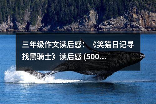 三年級(jí)作文讀后感：《笑貓日記尋找黑騎士》讀后感 (500字)