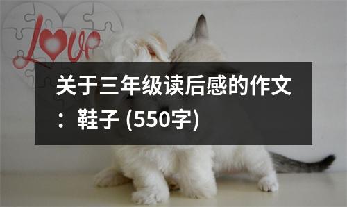 關(guān)于三年級(jí)讀后感的作文：鞋子 (550字)