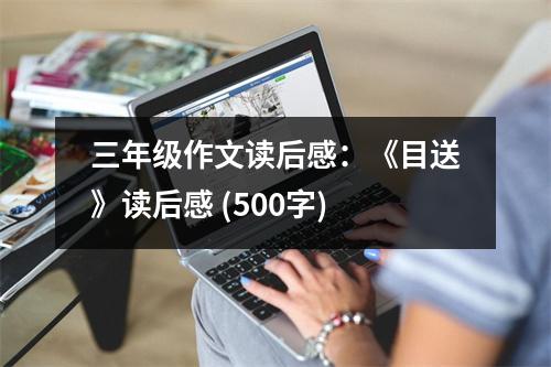 三年級(jí)作文讀后感：《目送》讀后感 (500字)