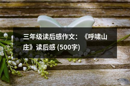 三年級讀后感作文：《呼嘯山莊》讀后感 (500字)