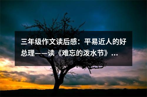 三年級作文讀后感：平易近人的好總理——讀《難忘的潑水節(jié)》有感 (500字)