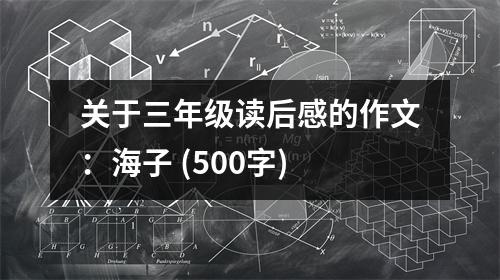 關(guān)于三年級讀后感的作文：海子 (500字)