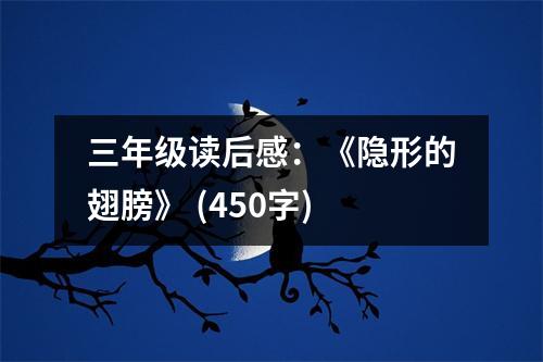 三年級讀后感：《隱形的翅膀》 (450字)