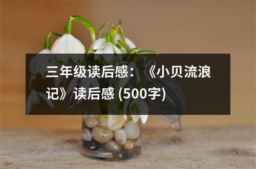 三年級讀后感：《小貝流浪記》讀后感 (500字)