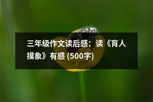 三年級作文讀后感：讀《肓人摸象》有感 (500字)
