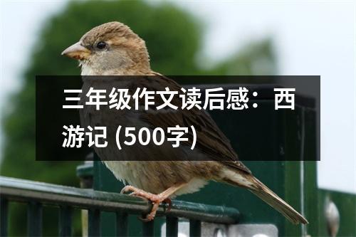 三年級作文讀后感：西游記 (500字)
