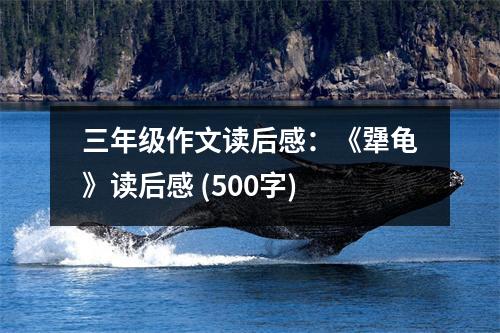 三年級作文讀后感：《犟龜》讀后感 (500字)