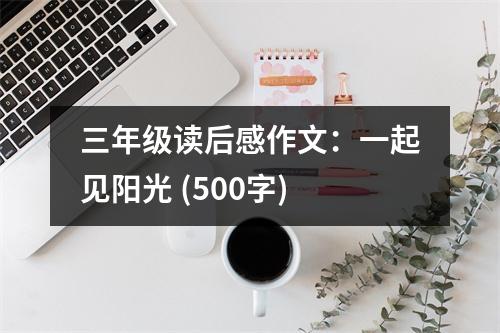 三年級(jí)讀后感作文：一起見(jiàn)陽(yáng)光 (500字)