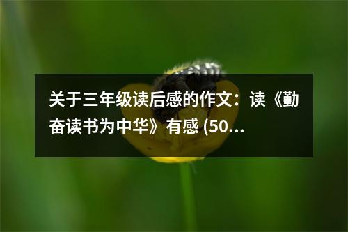 關于三年級讀后感的作文：讀《勤奮讀書為中華》有感 (500字)