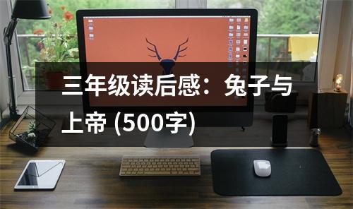 三年級讀后感：兔子與上帝 (500字)