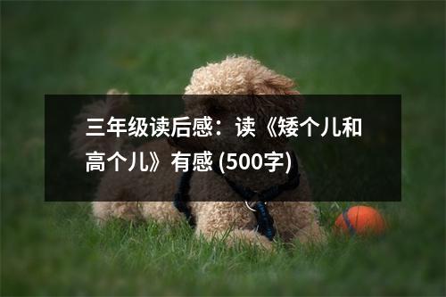 三年級讀后感：讀《矮個兒和高個兒》有感 (500字)