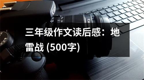 三年級作文讀后感：地雷戰(zhàn) (500字)