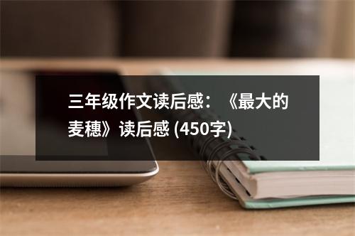 三年級作文讀后感：《最大的麥穗》讀后感 (450字)