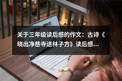關于三年級讀后感的作文：古詩《曉出凈慈寺送林子方》讀后感 (400字)