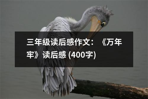 三年級讀后感作文：《萬年牢》讀后感 (400字)
