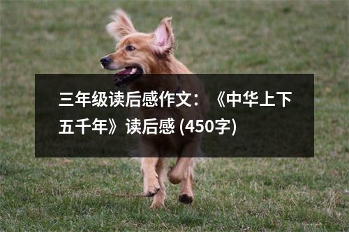 三年級(jí)讀后感作文：《中華上下五千年》讀后感 (450字)