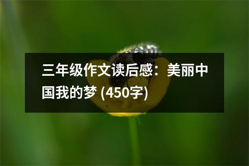 三年級(jí)作文讀后感：美麗中國(guó)我的夢(mèng) (450字)