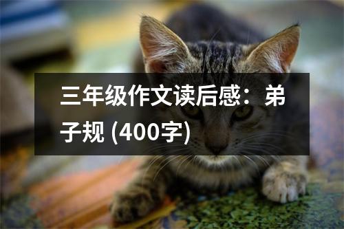 三年級(jí)作文讀后感：弟子規(guī) (400字)