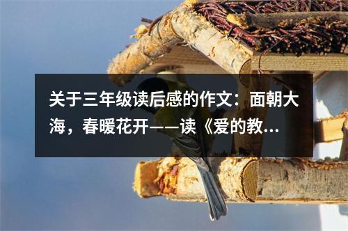 關(guān)于三年級(jí)讀后感的作文：面朝大海，春暖花開(kāi)——讀《愛(ài)的教育》有感 (350字)