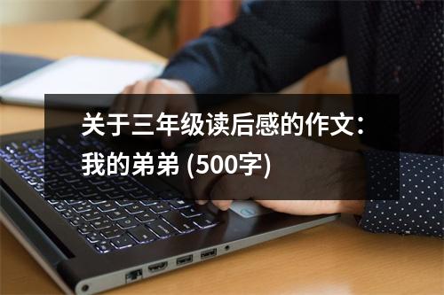 關(guān)于三年級(jí)讀后感的作文：我的弟弟 (500字)