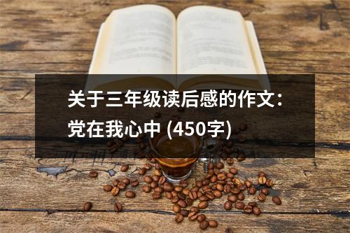 關(guān)于三年級讀后感的作文：黨在我心中 (450字)