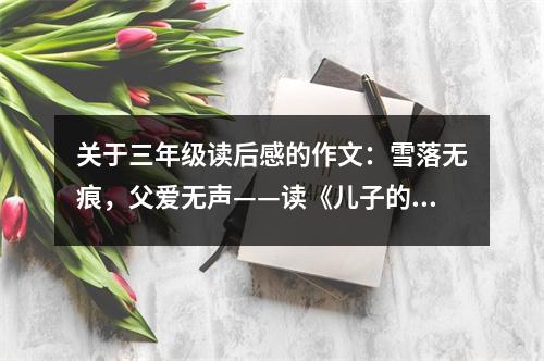 關(guān)于三年級讀后感的作文：雪落無痕，父愛無聲——讀《兒子的魚》有感 (450字)