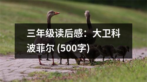 三年級讀后感：大衛(wèi)科波菲爾 (500字)