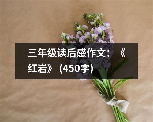 三年級讀后感作文：《紅巖》 (450字)